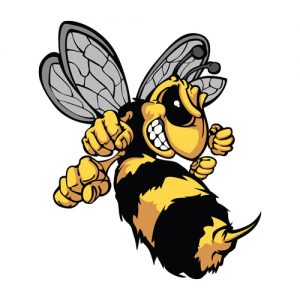 yellow jacket pest control franklin nashville