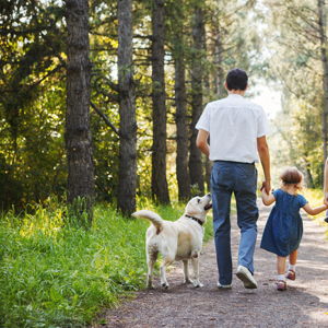 Prevent Ticks in Franklin